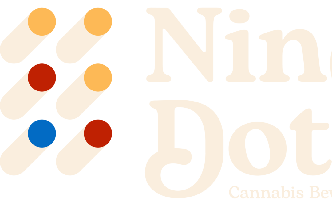 Spotlight on Our Sponsor: Nine Dot